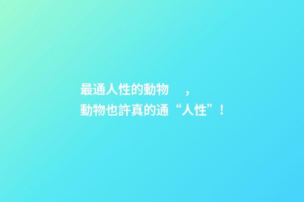 最通人性的動物，動物也許真的通“人性”!-第1張-觀點-玄機派